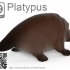 Platypus image