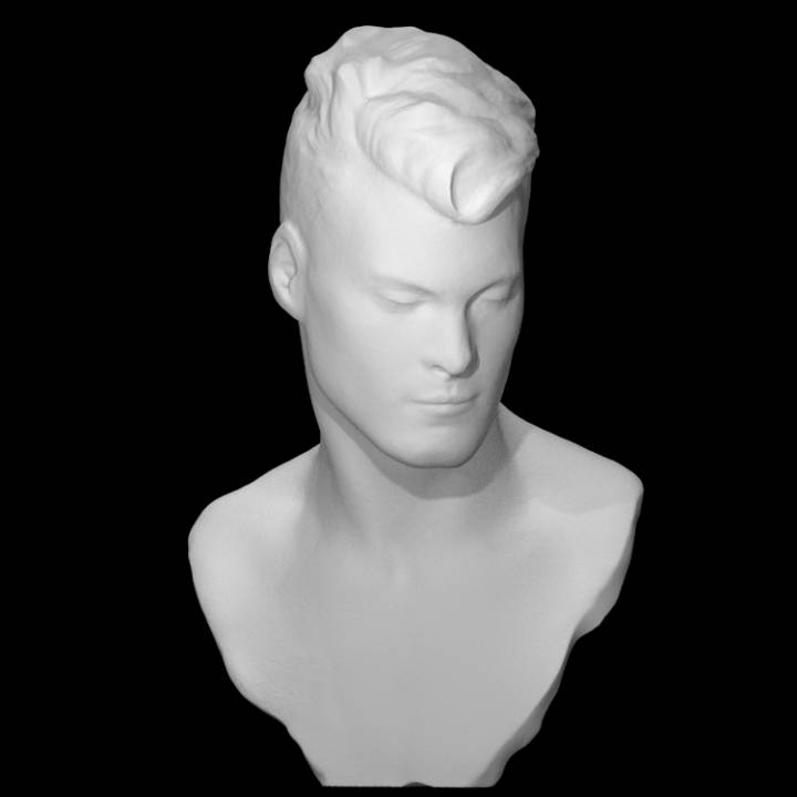 3D Printable Head of a Young Man by Scan The World
