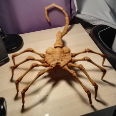 Picture of print of Agisis Ultimate Alien Face Hugger (40in x 23in - LIFE SIZE!)