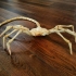 Agisis Ultimate Alien Face Hugger (40in x 23in - LIFE SIZE!) print image