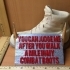Walk a Mile in my Combat Boots image