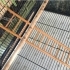 Cage Ladder image
