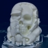 Storm Tropper Skull print image