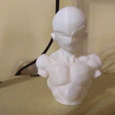Picture of print of Frieza bust sample print This print has been uploaded by Andrés Fuentes Fernández