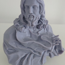 Picture of print of Salvator Mundi This print has been uploaded by DanC