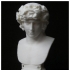 Portrait of Antinous as Dionysus print image