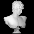 Bust of Antinous image