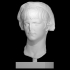 Portrait of Nero image