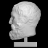 Head of a Bearded Man image