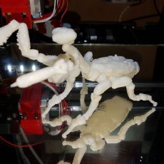 Picture of print of Fully Articulated Praying Mantis Toy This print has been uploaded by Weide Farias