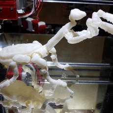 Picture of print of Fully Articulated Praying Mantis Toy This print has been uploaded by Weide Farias