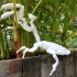 Fully Articulated Praying Mantis Toy print image