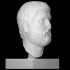 Portrait of a bearded man image