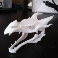 Picture of print of Dragon skull from Skyrim This print has been uploaded by Xavier Hinojosa