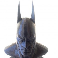 Picture of print of Batman Arkham Asylum Bust