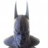 Batman Arkham Asylum Bust print image