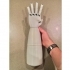 Robotic Prosthetic Hand image