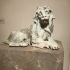 Lion (one of a pair) image