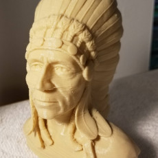 Picture of print of Native American Bust This print has been uploaded by Creation Station