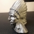 Native American Bust image