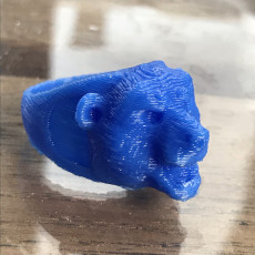 Picture of print of Ring Bear
