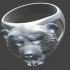Ring Bear image