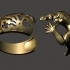 Ring Panthera 2 Parts image