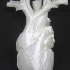 Picture of print of Anatomical Heart