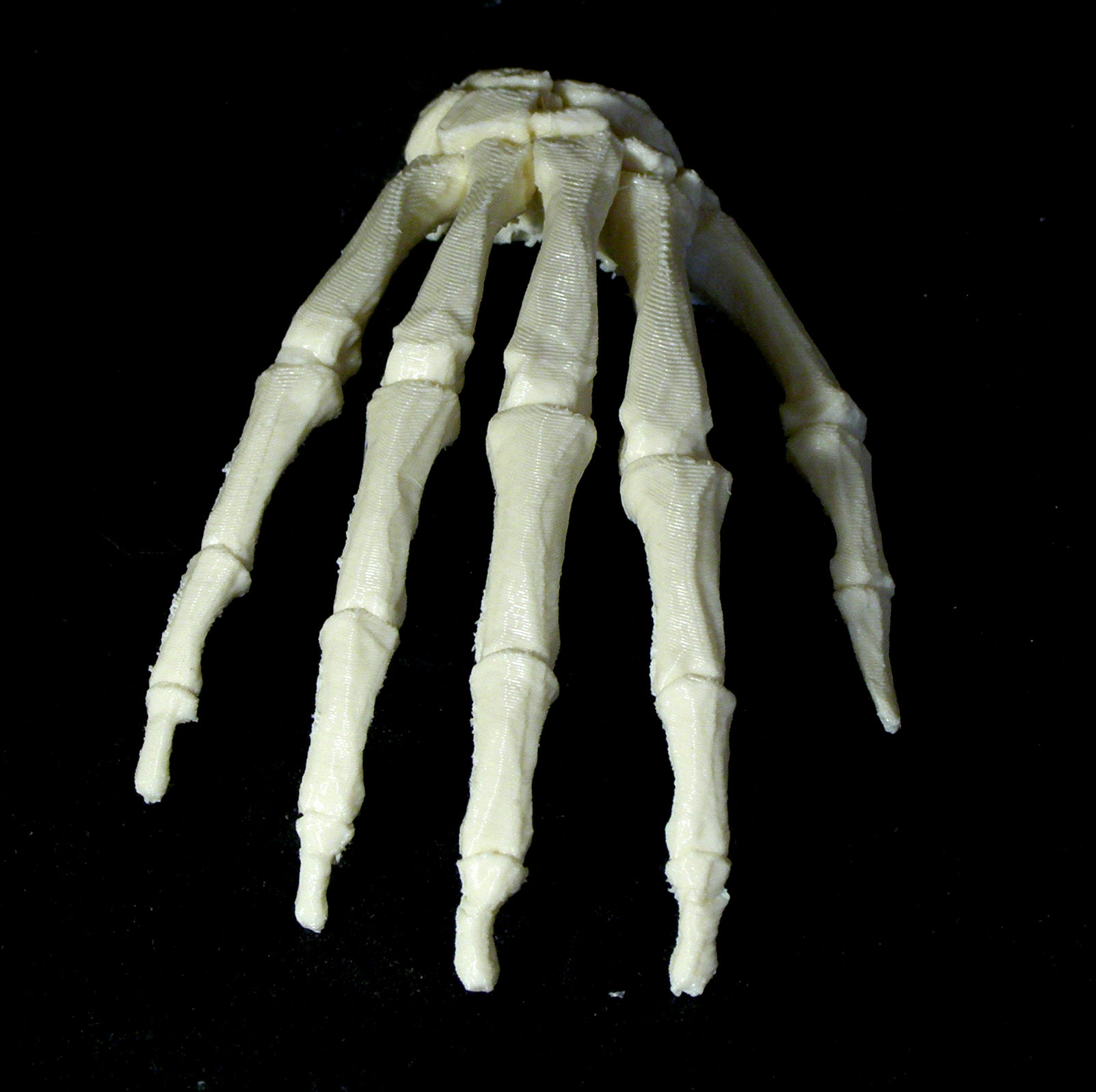 Hand bone. Скелет руки. Скелет кисти. Кисть руки скелет. Костяная рука.