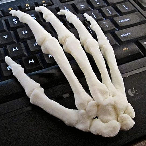 Human Hand, Right Full-Scale assembled