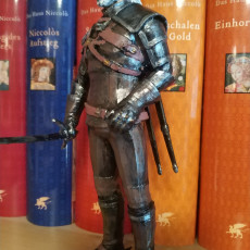 Picture of print of Geralt of Rivia / Witcher 3 / 3d stl model This print has been uploaded by Rudolf Arendt