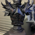 Elder Scrolls Skyrim Daedric Armor Bust print image