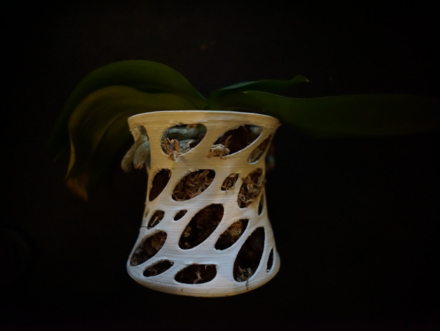 Orchid vase