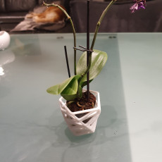 Picture of print of low poly style Orchid pot / planter