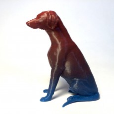 Picture of print of sitting natural doberman