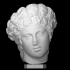 Head of Apollo Crowned with Laurel image