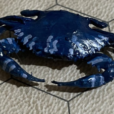Picture of print of Blue Crab