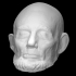 Abraham Lincoln Life Mask image
