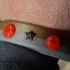 4 color bracelet image