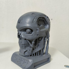 Picture of print of T800 Tricolor Abs Terminator