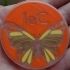 Phosphorescent butterfly with logo image