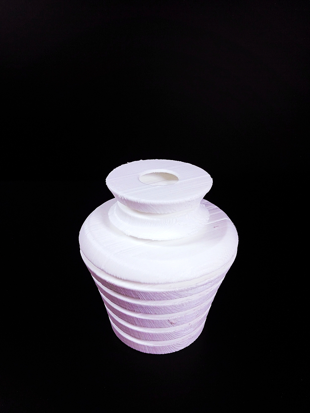 Vase in a Vase image