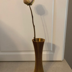 Picture of print of Spiral Vase