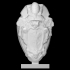 Borghese Coat of Arms image