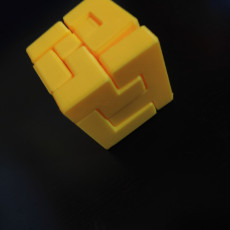 Picture of print of 4x4 Puzzle Cube This print has been uploaded by Alb Bio Geo