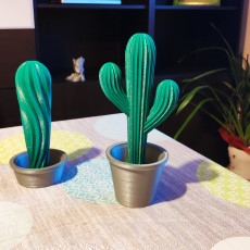 Picture of print of Cacti with Pots