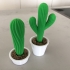 Cacti with Pots print image