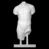 Marble Torso of a Youth image