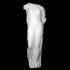Marble Statue of Aphrodite, the so-called Venus Genetrix image