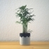 Composite planter image